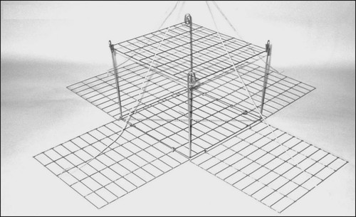 Foxy mate crab - mate, traps