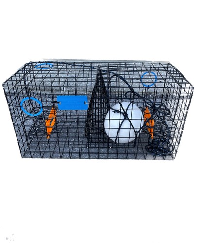 Metal maryland crab trap - maryland,